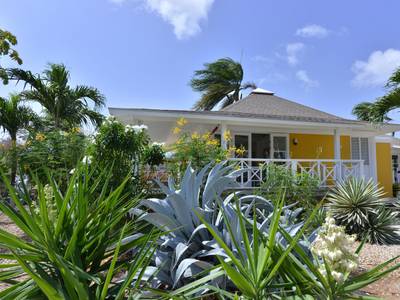 Chogogo Dive & Beach Resort