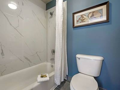 Best Western Plus Mountain View Auburn Inn