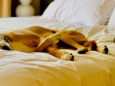 Candlewood Suites Dallas Park Central