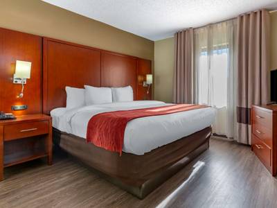 Comfort Inn At Carowinds