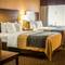 Comfort Inn Port Huron