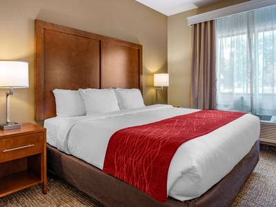 Comfort Inn La Porte