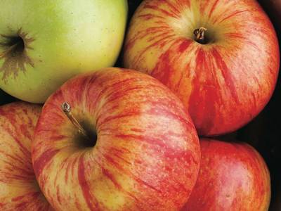 La Quinta Inn & Suites Napa Valley