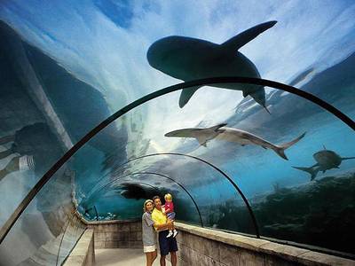 Atlantis Paradise Island Complex