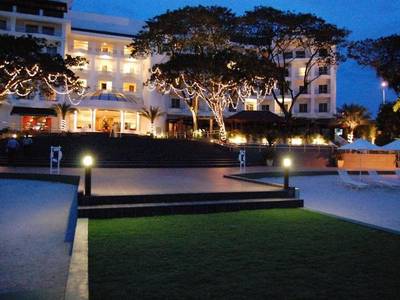 Flamingo by The Lake