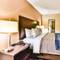 Comfort Inn & Suites Ambassador Bridge