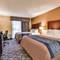 Comfort Inn & Suites Ambassador Bridge