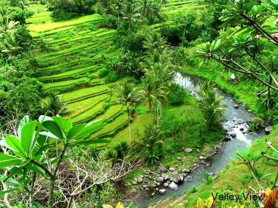 Taman Bebek Resort & Spa