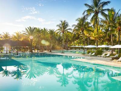 The Ravenala Attitude