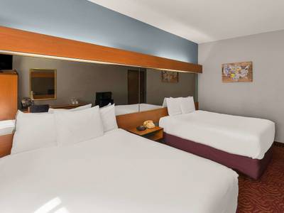 Microtel Inn & Suites by Wyndham Mesquite/Dallas At Highway
