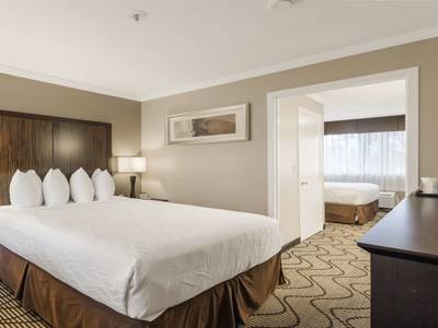 Best Western Plus Orchid Hotel & Suites