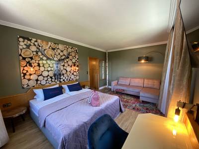 Harz Hotel & Spa Seela