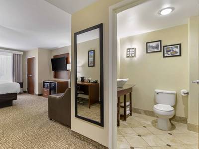 Comfort Suites At Kennesaw State University