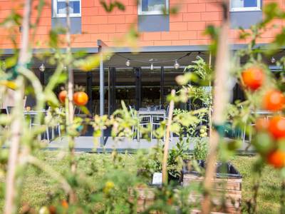 Hôtel ibis Lyon Est Chaponnay