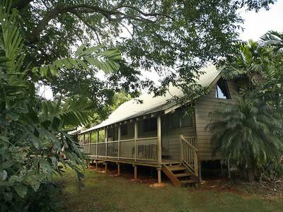 Ferntree Rainforest Lodge