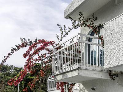 Pine Trees Art Hotel - Erwachsenenhotel ab 13 Jahre