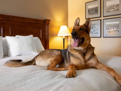 Best Western Plus Kings Inn & Suites