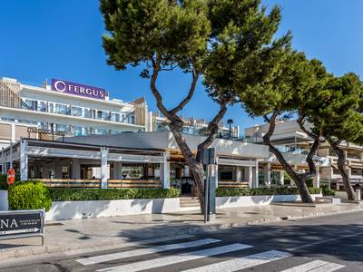 FERGUS Style Palmanova