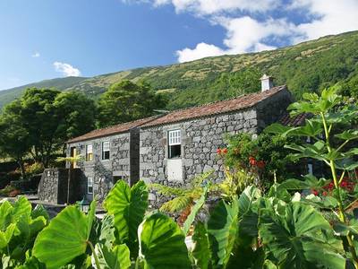 Adegas Do Pico (Foto)