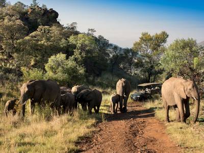 Kwa Maritane Bush Lodge