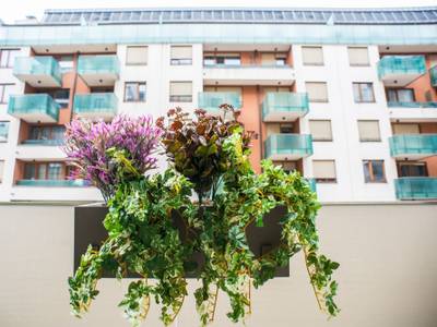 Sun Resort Apartments