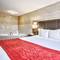 Comfort Inn & Suites South