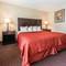 Quality Inn & Suites Conference Center