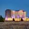 Hilton Garden Inn Dallas / Arlington South
