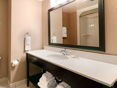 Best Western Swan Castle Inn