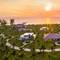 Radisson Blu Resort Phu Quoc