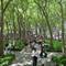 Bryant Park
