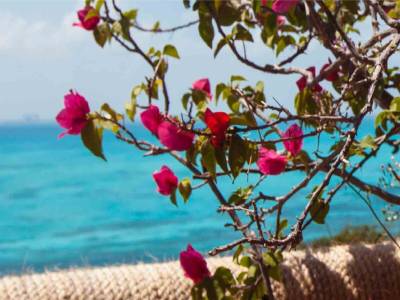 Casa ee los Suenos Resort and Spa