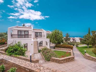 The Olive Tree Hotel