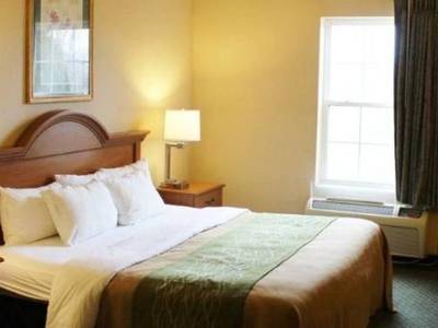 Comfort Inn & Suites