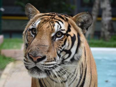 Thanthip Beach Resort