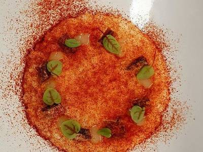 Le Terre dei Cavalieri Agriturismo