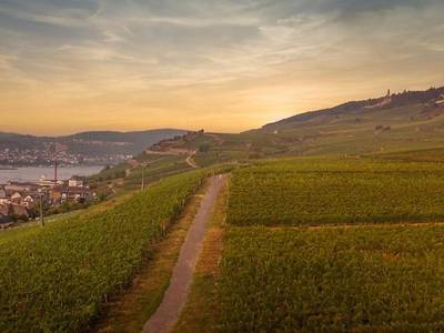 Hotel Zum grünen Kranz