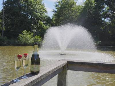 Ashdown Park Hotel & Country Club