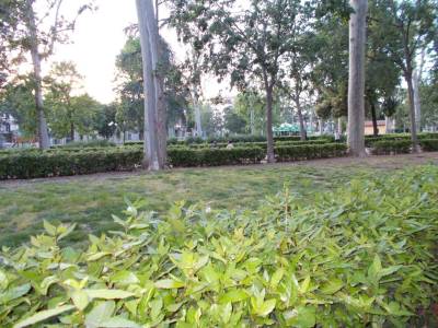 Hotel D´Azeglio Firenze