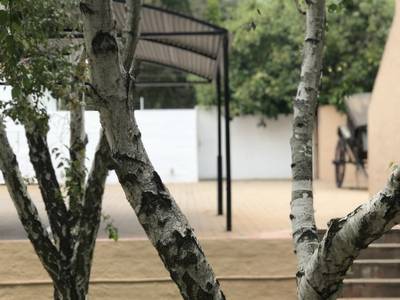 Glenalmond Hotel Sandton