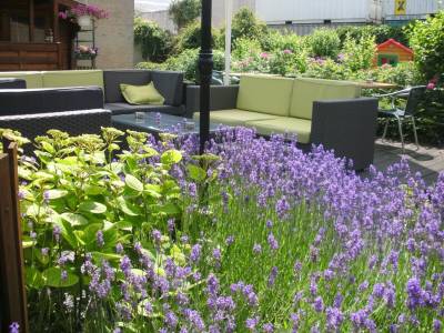 Campanile Brüssel Drogenbos