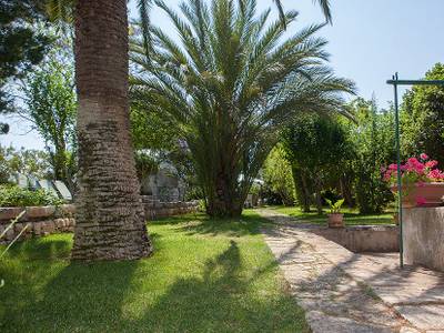 Masseria Il Frantoio