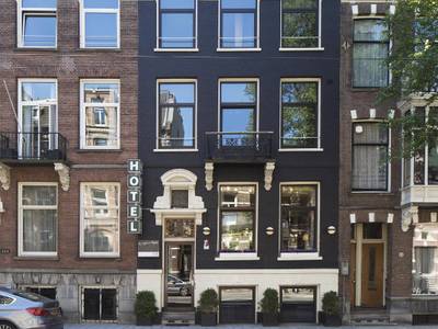 The Neighbour´s Magnolia