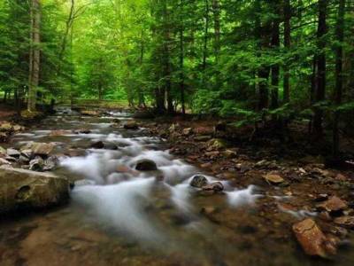 Courtyard by Marriott Pittsburgh Greensburg