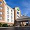 Holiday Inn Express Hotel & Suites Kingsport-Meadowview I-181