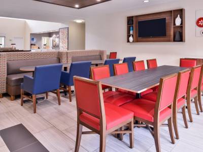 Holiday Inn Express Tampa North - Telecom Park