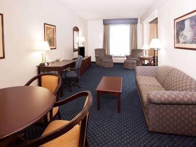 Wingate by Wyndham - Atlanta at Six Flags (Foto)