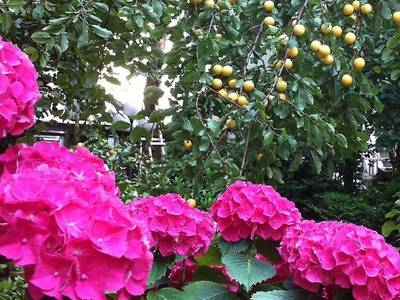 Boulevard Hotel Hamburg