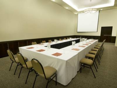 Fiesta Inn Ciudad Obregon (Foto)