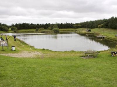 Hotel Svanen Grindsted